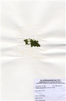 藏品(布氏藻)的圖片